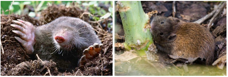 Snímka obrazovky 2025-07-10 o 14.45.14